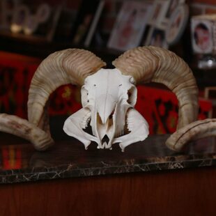 羊头骨羊角装饰标本摆件墙挂件壁挂墙饰动物真头民族特色工艺品