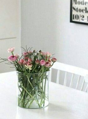 璃岛 透明玻璃直筒瓶 2KG人工吹制北欧风格清新客厅餐桌水培花器D