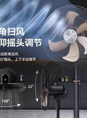 钻石牌工业电风扇商用式摇落地扇强式力立大风力功台84189率头家