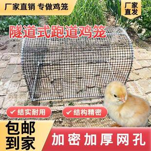 走鸡笼隧道地YBA养鸡户外菜地养鸡牛津网鸡笼兔子跑道院笼鸡舍庭