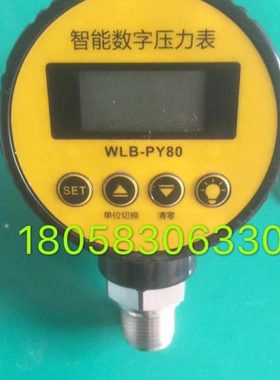 智能数字压力表WLB-PY80压力表