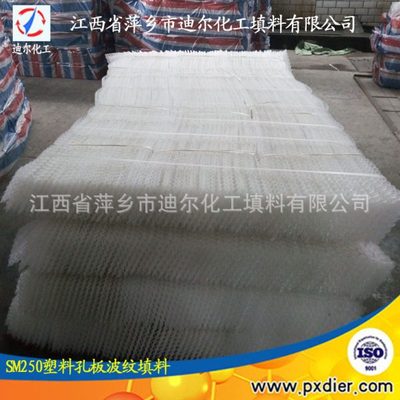 【萍乡迪尔】塑料规整填料 厂家自产自销 PP孔板波纹规整填料