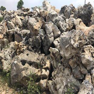 湖石太太湖石假山别太墅4鱼池驳净化假山流水湖石水系岸