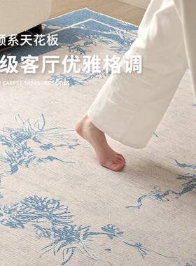地毯客厅新式2qr202507025新款免洗可擦水防防污室地毯中沙发茶茶