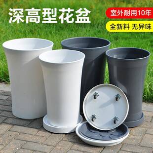 款树脂花盆厂新型直销天堂家鸟散尾葵客厅高颜值大绿植盆栽RQW大