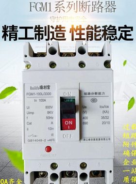 塑壳断路器空气开关NM1 CM1-100 125 225 250 400 630 800S L A3P