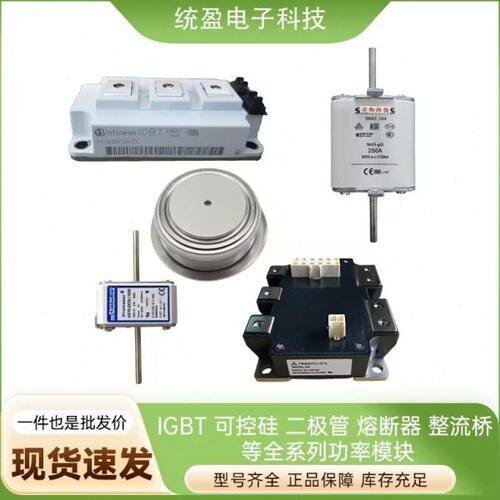 法国熔断器PC30UD69V125TF V300053 PC30UD69V160TF W300054