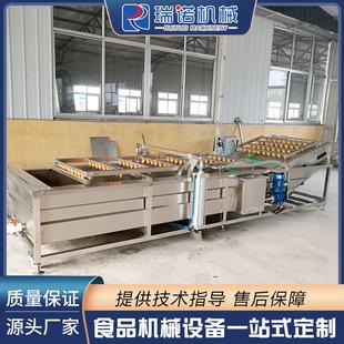 罐头厂水蜜桃清洗机定制 黄皮果气泡喷淋清洗加工流水线 厂家直供
