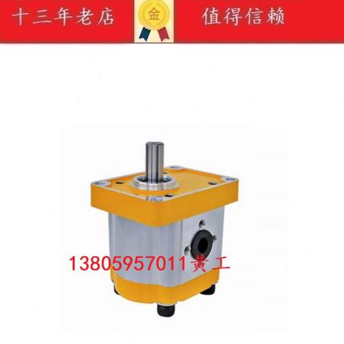 齿轮泵CBN-F304 CBN-F304 CBN-F306 CBN-F308 CBN-F310 CB