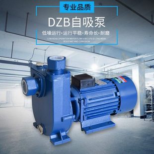 工业级三相 WZB/DZB 大功率自吸泵加强泵供水泵增压泵 循环自吸泵