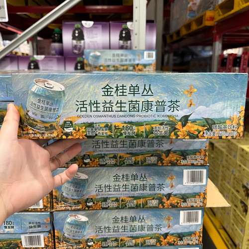 山姆金桂单丛活性益生菌康普茶230ml乌龙茶底醇香健康饮料调味茶