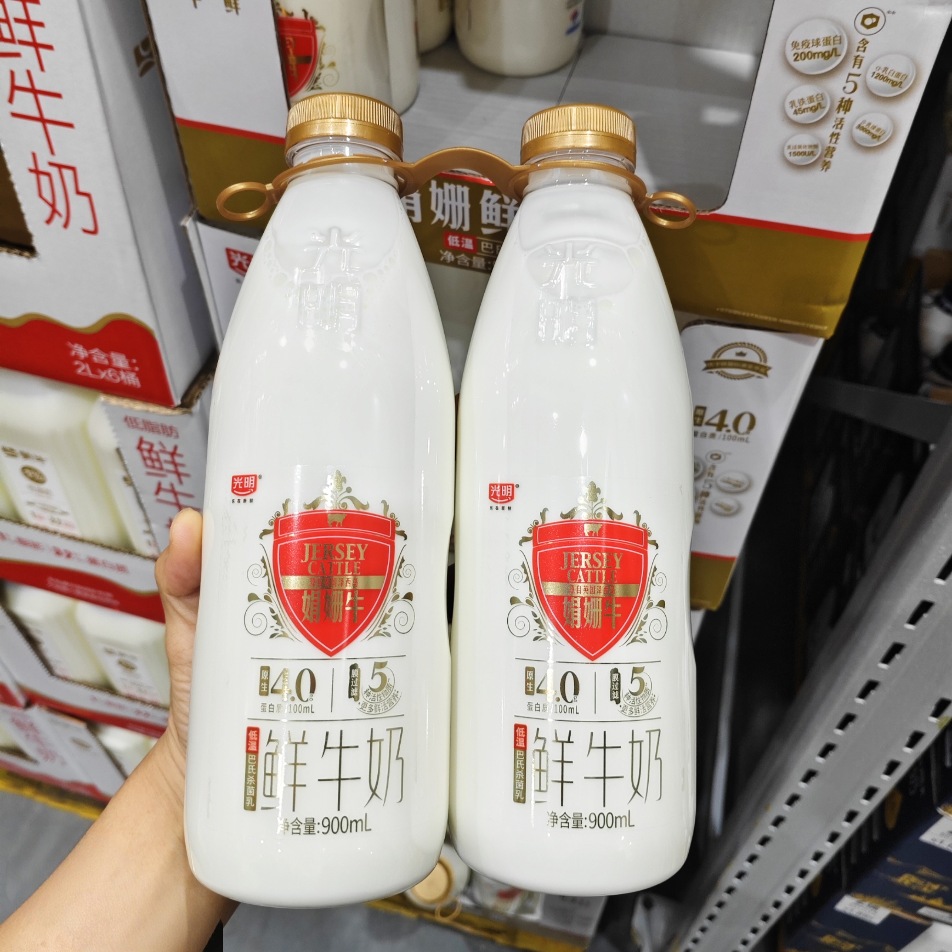 山姆光明娟姗鲜牛奶900ml*2瓶娟珊纯牛奶活性儿童学生早餐奶有机