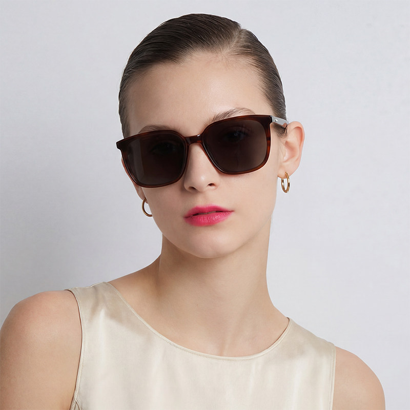 Horn LEDIN韩系复古美式墨镜板材廓形轻奢潮流防紫外线太阳镜男女