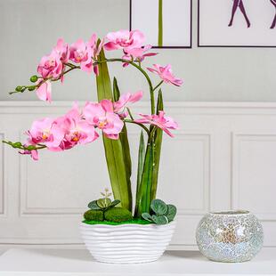 蝴蝶兰真花套装MFO创艺陶意绢仿花瓷工摆设装饰假花盆栽厂家