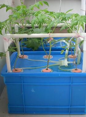 箱式土栽培备阳台种菜水培水耕蔬菜机设组JVA合花架盆无栽