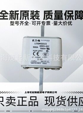 170M5062 170M5163 170M5015 170M5218 170M5213 巴斯曼熔断器