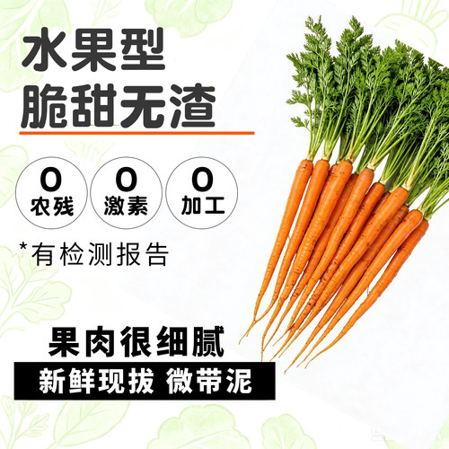 【无农残无激素】新鲜生吃水果胡萝卜手指红胡萝卜即食农家自种