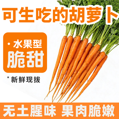 新鲜水果胡萝卜生吃脆甜拇指手指小红萝卜可做辅食农家自种不带叶