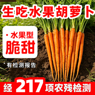 【已过农残检测】新鲜水果胡萝卜生吃拇指小红萝卜农家自种有机肥