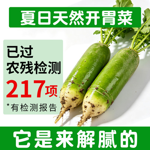 【无农残无激素】新鲜青萝卜山东潍坊特产潍县正宗生吃绿萝卜现拔