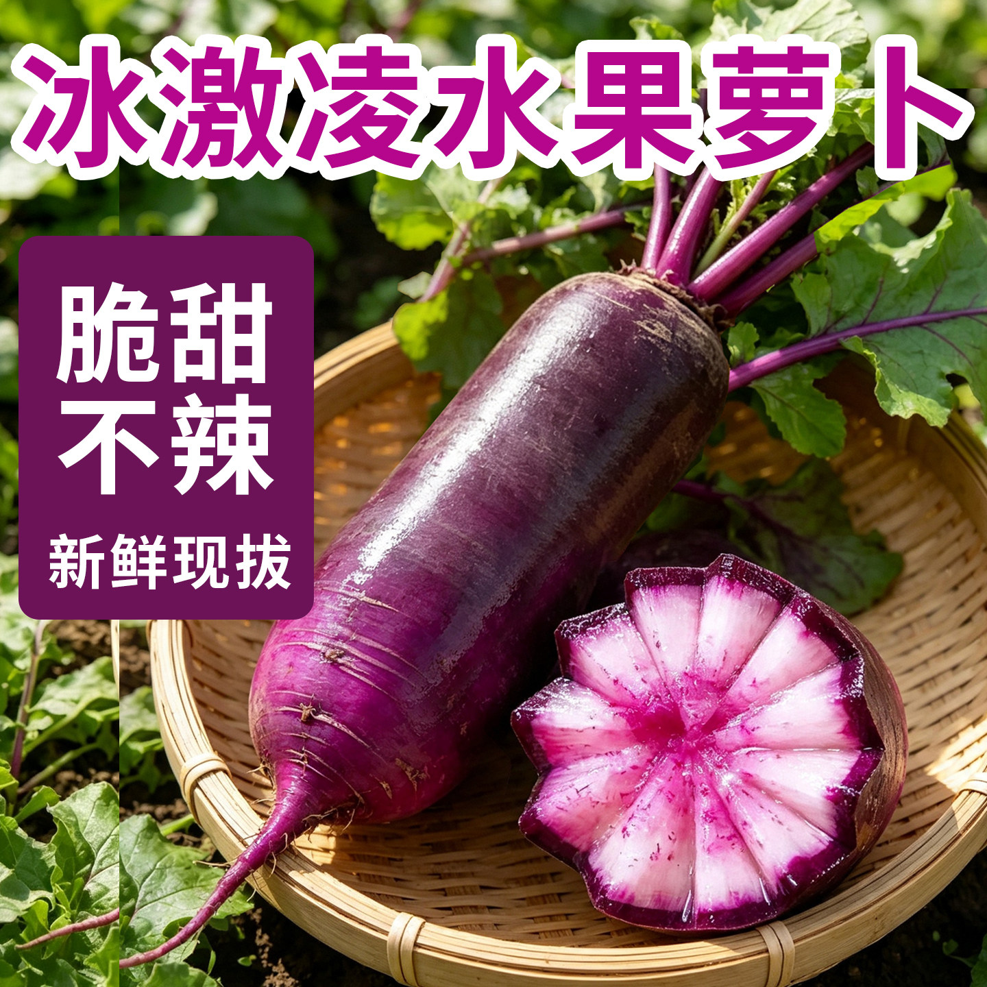 冰淇淋水果萝卜冰激凌红萝卜潍坊冰糖心甜脆水果型凤梨潍县紫萝卜