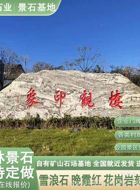雪石景观风石大型泰山石门牌石村字牌石刻石头靠山石浪泰山石校训