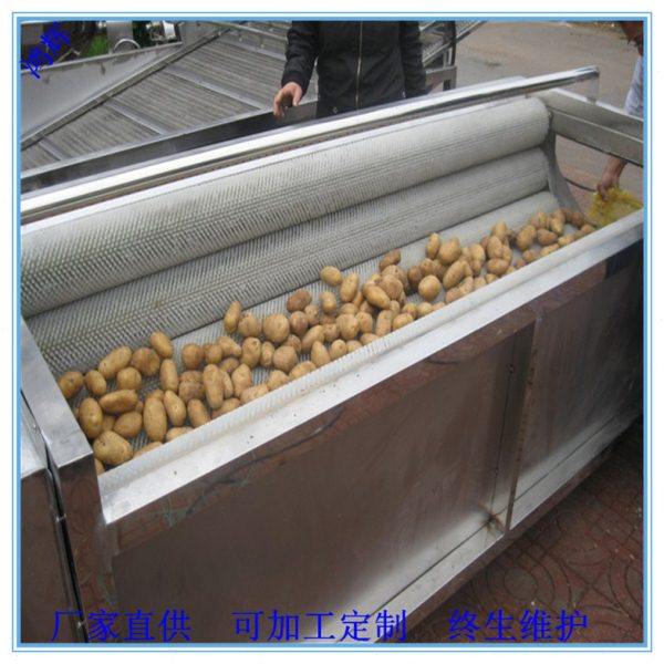 供家用小蔬菜毛刷清洗机 莲藕芋头去皮清洗机  软毛清洗荸荠设备,鲜花速递/花卉仿真/绿植园艺,高压清洗机,淘宝优惠券,粉丝福利购,淘宝优惠卷