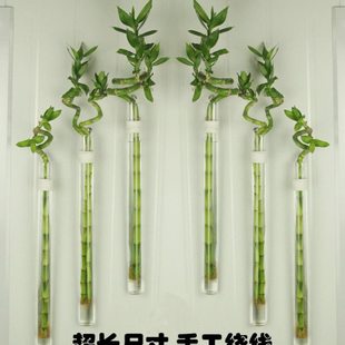 创意田园壁挂转运竹水培麻绳玻璃花瓶工艺小花插挂件家居墙面装饰
