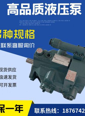 V15A3RX-95柱塞泵V15 V23 V38 A1 A2 A3 A4RX-95/30