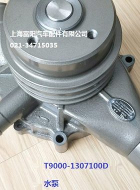 玉柴YC6TD发动机原厂T9000-1307100冷却淡水泵船电发电机组专用