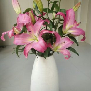 包邮欧式白瓷花瓶花插陶瓷蛋形水滴瓶创意水培花瓶家居摆设大花瓶