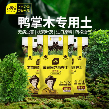 史丹利鸭脚木专用营养土鸭掌木鸭爪木鸭掌木盆栽家用泥土种植土壤