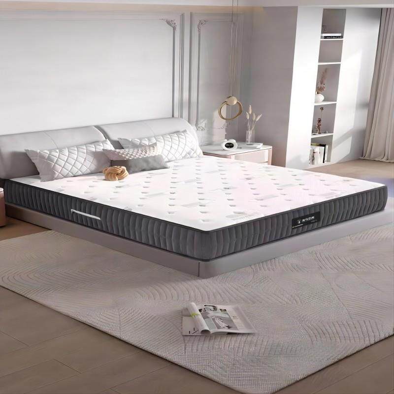 席梦思床垫弹簧家用软垫1.51.8米床垫双人软硬适中厚20cm椰