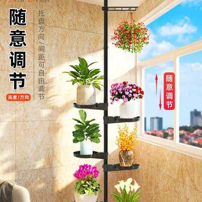 顶天立地花架置物架室内窗台飘窗多肉收纳架阳台悬挂绿萝吊兰架子