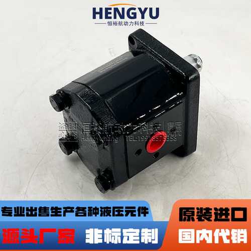 Hengyuhang齿轮泵2PDF12DB0T0E4布赫泵BUCHER液压泵AP200油泵高压