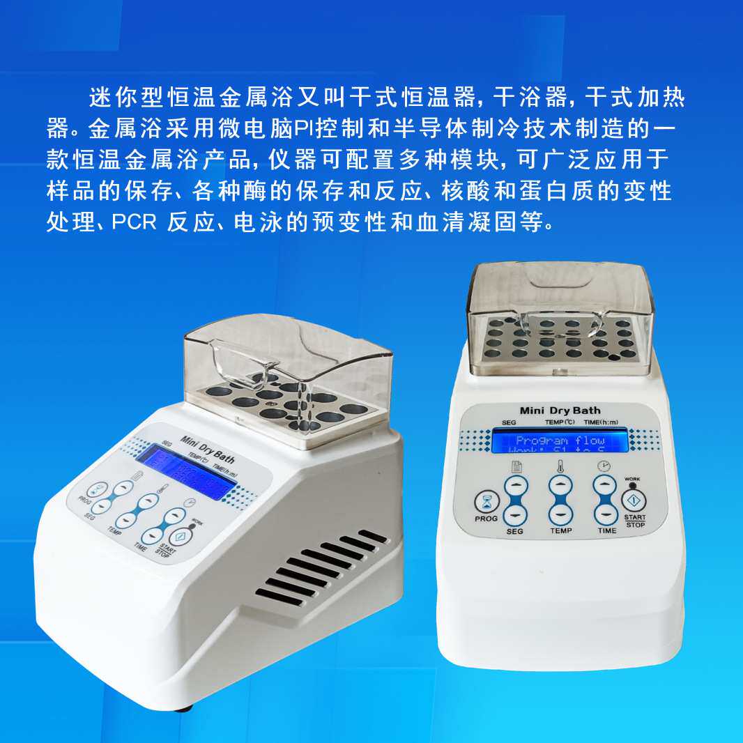 齐威恒温金属浴迷你干式恒温器加热制冷风冷实验室牛奶孵育器高温