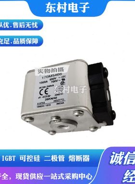 170M5463 170M5464 170M5465 170M5466 170M5467 170M5468熔断器