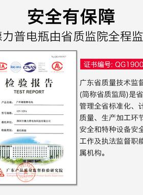 1012德普12v锂电池大容量酸铁锂超轻户外磷大功率非一体机4v力蓄