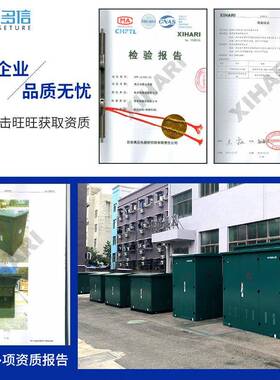 310v高压电缆分支箱一进二三四出户DF-1k2/60户外WDFW-12/6欧式分