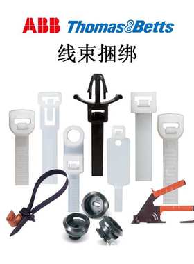 ABB通贝 L-4-18-0-M Catamount黑色尼龙扎带 微型束线带