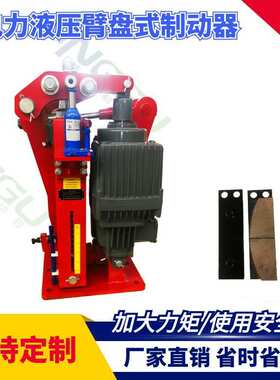 电力液压臂盘式制动器YP21-800-560*30刹车片制动片