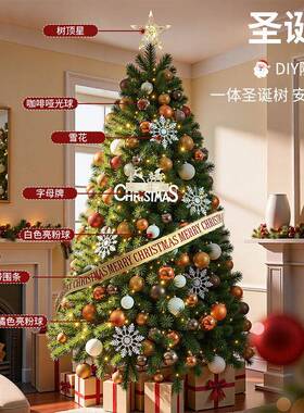 202575SD=ZH0新圣诞树红家客用厅款diy网高级感摆件场景布置圣诞