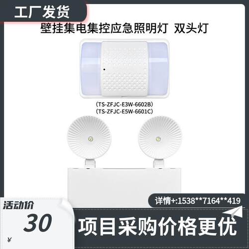 泰和安壁挂集电集控应急照明灯双头灯6604A/6602B/6601C