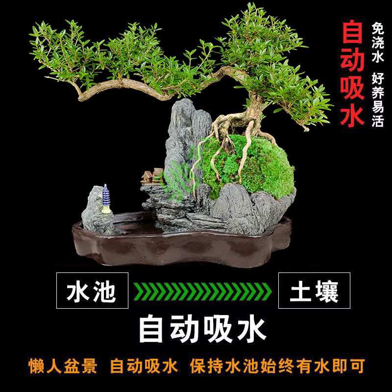 yut流水版六月雪山水盆景花卉盆栽植物室内假山绿植客厅老树桩小