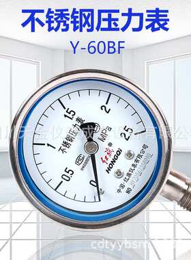 红旗表不锈钢压力表Y-60BF水压表0~60MPA316材质禁油表径向压力表