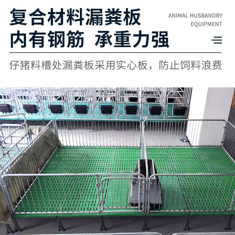 热镀锌保育栏小猪保育床全复合双体仔猪保育床猪用保育床