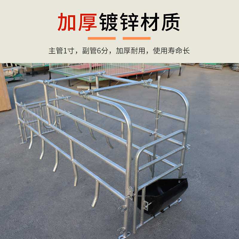 落地式母猪产床双体产保两用单体简易保育一体产房养殖猪场分娩床