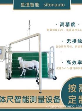 智能牛羊体尺测量设备耳标识别体长体宽无接触精准测量体廓数据