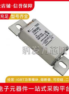 170M1760/1761/1762/1770/1771/1772/1773/1774/1775-1781熔断器