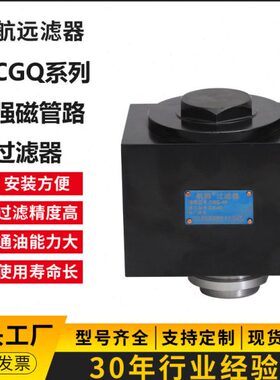 CGQ-12 强磁管路过滤器 CGQ12管路过滤器 【信航远】